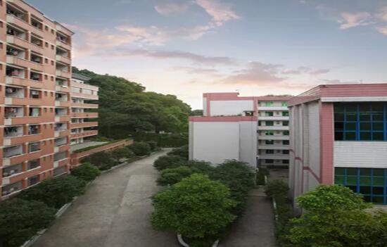重庆市南丁卫生职业学校是公办还是私办