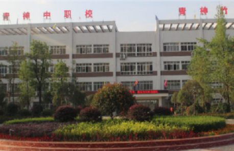 四川省青神中等职业学校是公办学校吗