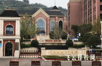 重庆市巴渝学校怎么样
