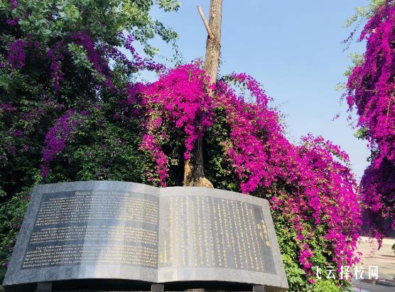 成都华大医药卫生学校是公办还是民办 靠谱吗