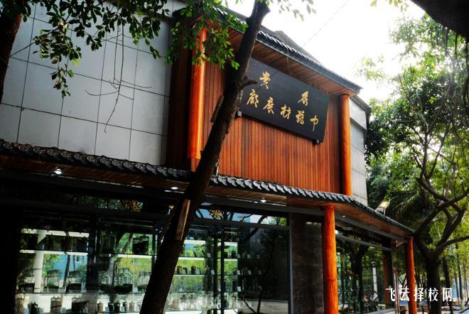 成都华大医药卫生学校是公办还是民办 靠谱吗