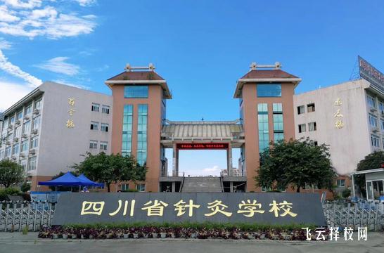 成都针灸学校是公办学校还是民办学校
