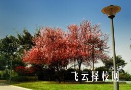 南充卫校好不好 怎么样 