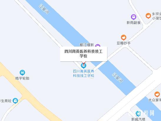 四川育英科技学校地址在哪里，坐车路线怎么走
