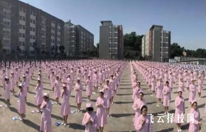 宜宾卫校有哪些专业,宜宾卫校有什么专业