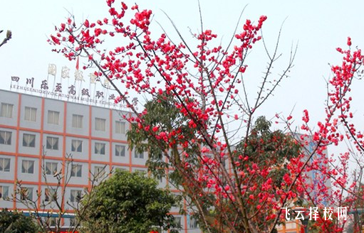 乐至县高级职业中学学费多少