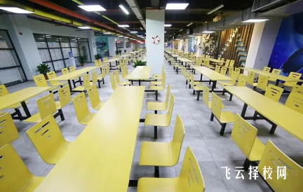 成都单招面试培训班哪个机构好
