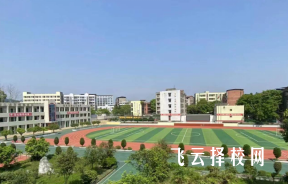 安岳普职融通班怎么样