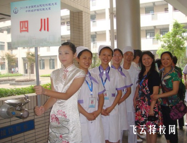 成都卫生学校是公办还是民办