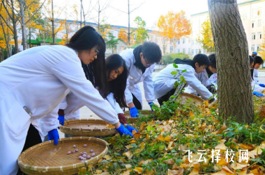 内江卫生与健康职业学院中药学专业介绍