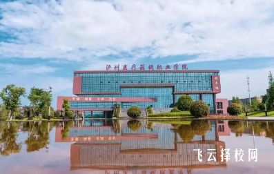 泸州医疗器械职业学院公共卫生管理专业介绍