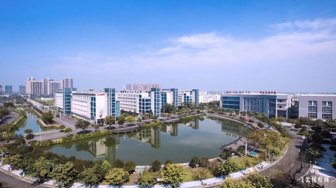 德阳科贸职业学院2024年单招考什么
