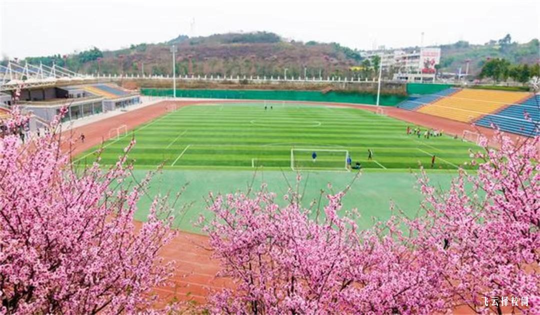 眉山职业技术学院2024年单招考什么