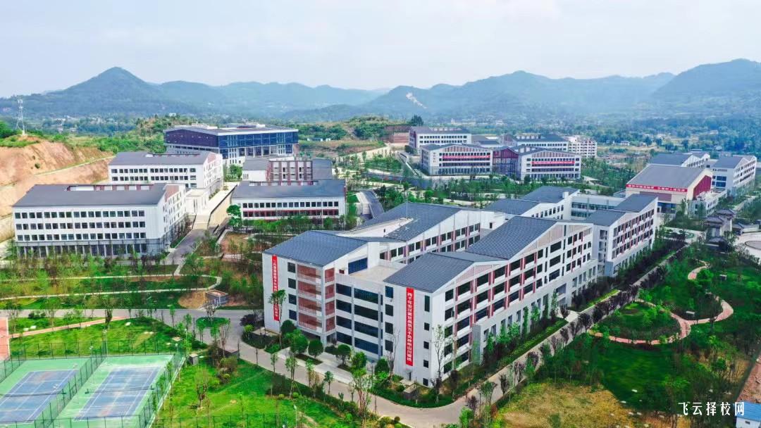 南充文化旅游职业学院2024年单招考什么