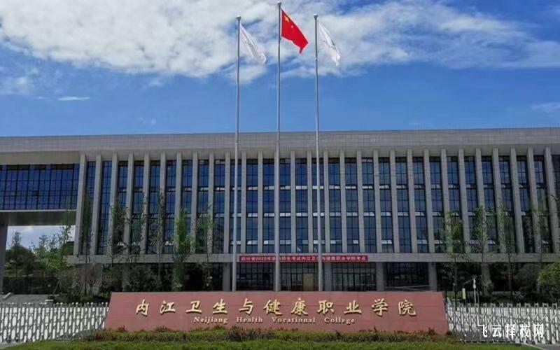 内江卫生与健康职业学院2024年单招考什么