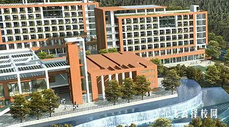 攀枝花攀西职业学院2024年单招考什么