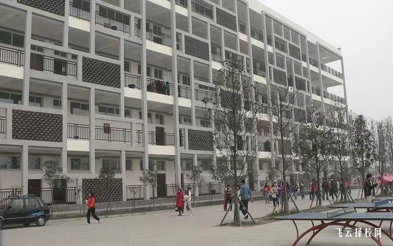 四川商务职业学院2024年单招考什么