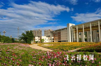 川北幼儿师范高等专科学校2024单招招生计划