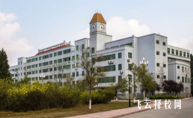 绵阳职业技术学院2024单招招生计划