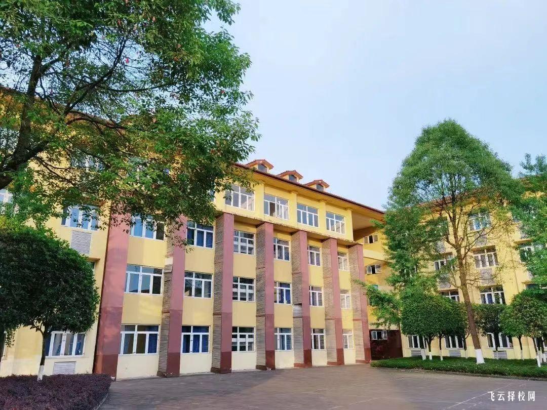 四川外国语大学成都学院2024单招招生计划