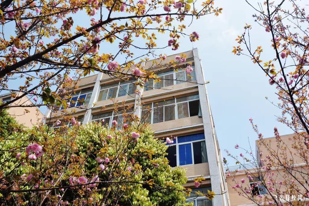 宜宾职业技术学院2024单招招生计划