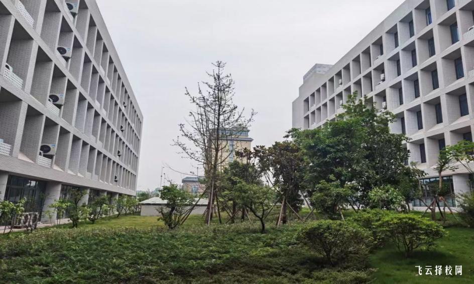 内江卫生与健康职业学院2023单招录取分数