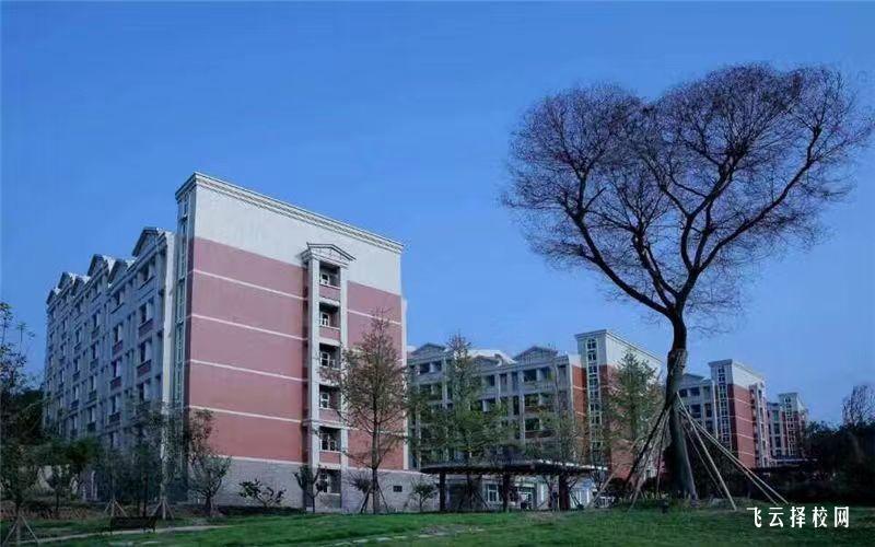 四川中医药高等专科学校2023单招录取分数