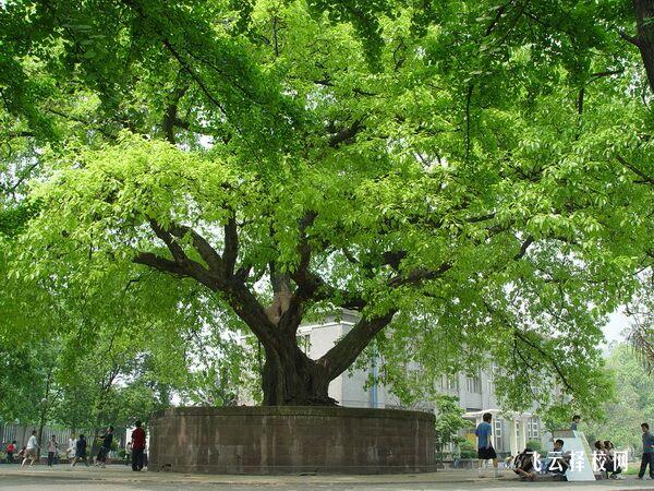 宜宾职业技术学院2024单招是面试还是笔试