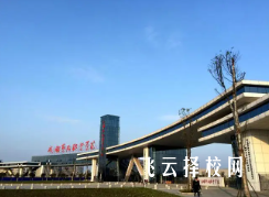 成都艺术职业大学怎么查单招成绩