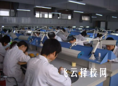 2024单招有专业限制吗