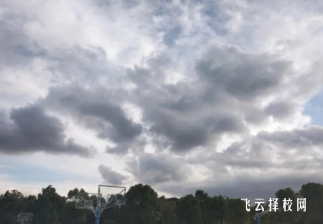2024单招走的是专科吗