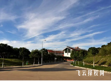 2024对口单招有本科院校吗