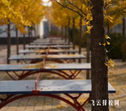 2024今年还有单招吗