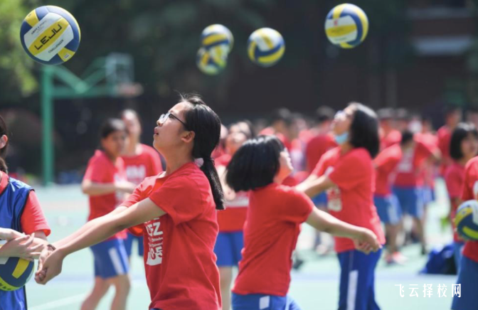 2024体育单招的费用一般是多少