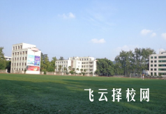 四川通过单招可以报考的学校