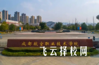四川通过单招可以报考的学校