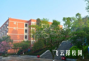 合江县少岷职业技术学校2024什么时候招生
