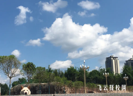 四川矿产机电技师学院2024报名条件
