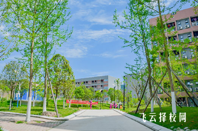 四川省经济管理学校2024报名条件