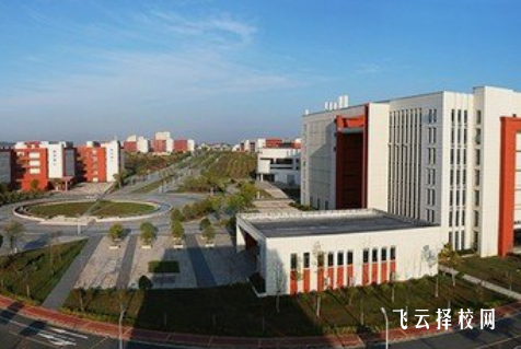 2024医学类对口单招考什么