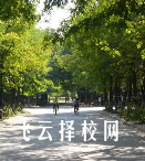 单招培训的学费一般是多少钱