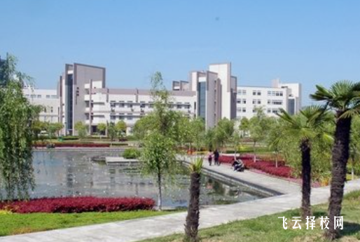 高职分类招生考试是单招吗