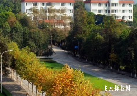 绵阳职业中学有哪些