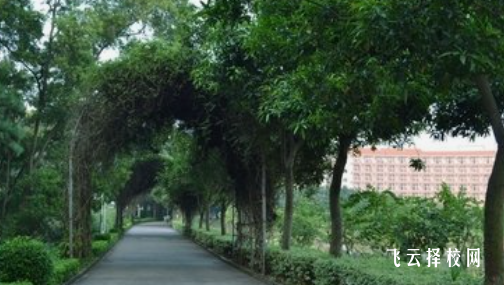 四川省甘孜卫生学校2024选什么专业好