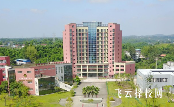 富顺职业技术学校哪个专业前景好