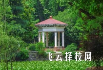 沐川县中等职业学校哪个专业前景好