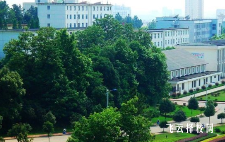 四川省农业广播电视学校什么专业好就业