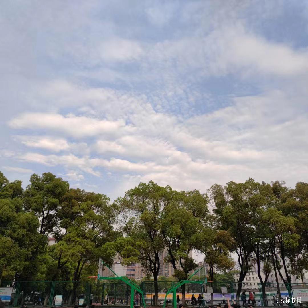 德昌县职业高级中学2024招生简章
