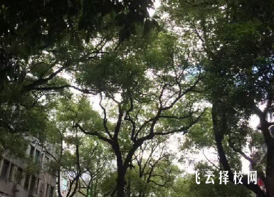 成都职业技术学校2024招生简章