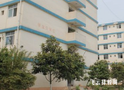 四川科技职业学院2024招生简章